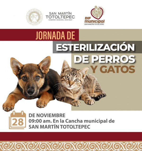 esterilización